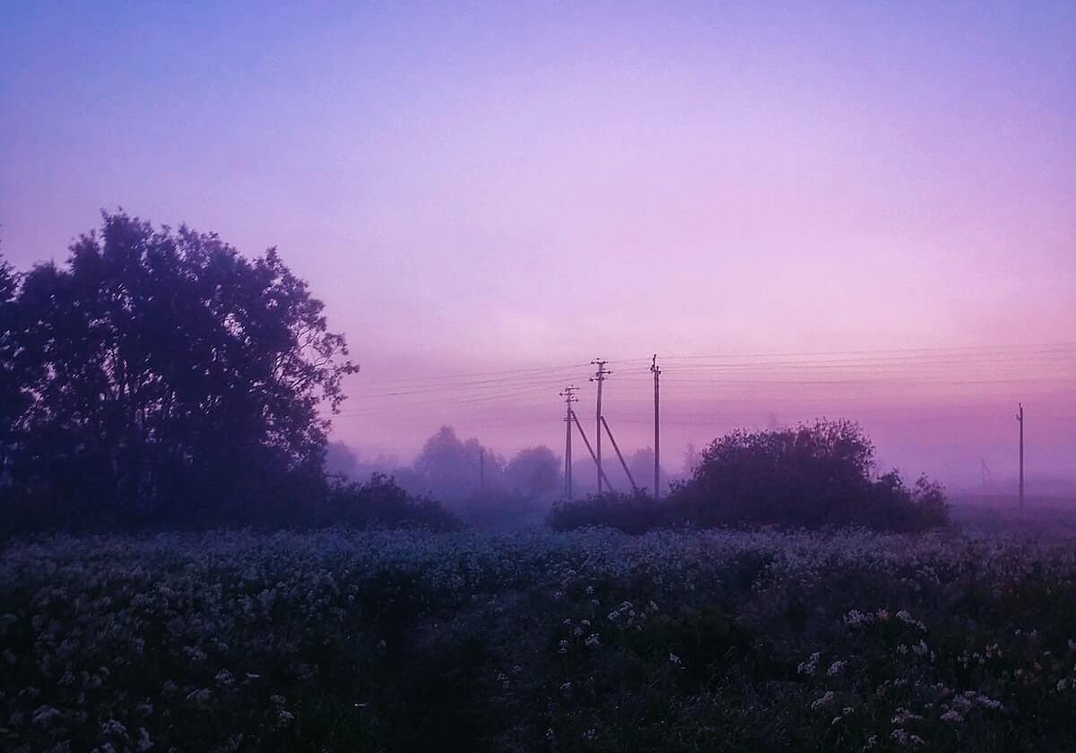 菠萝TV内容从头到尾看一遍：重点是配乐的语义（从语言看论证），菠萝影视是什么