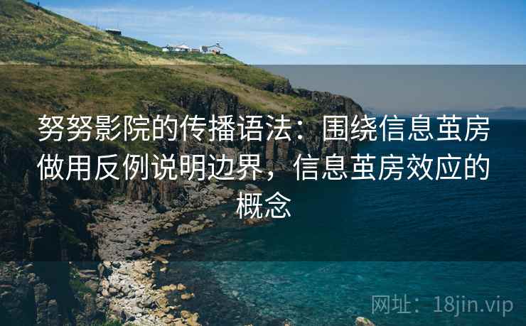 努努影院的传播语法：围绕信息茧房做用反例说明边界，信息茧房效应的概念